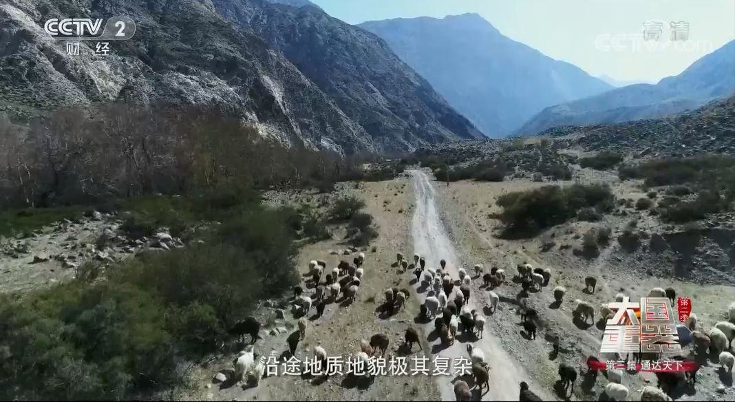 QQ圖片20180301083719.png